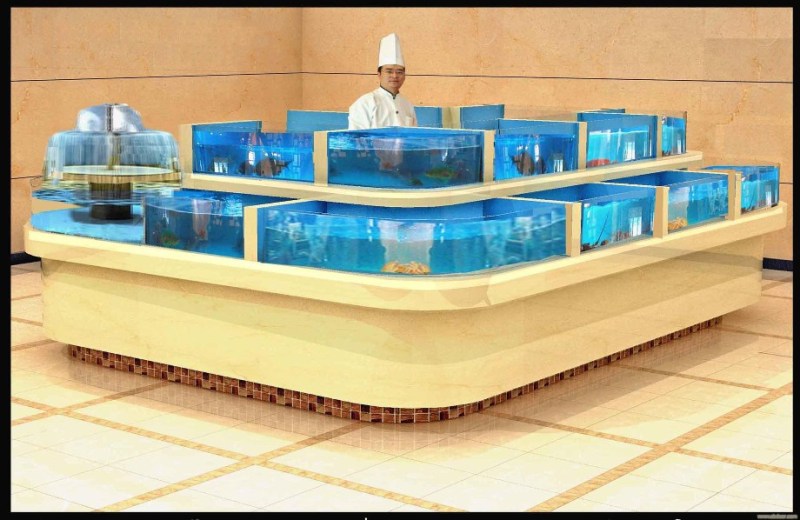Lâm Kim Chi chuyên thiết kế thi công hồ hải sản ảnh 2