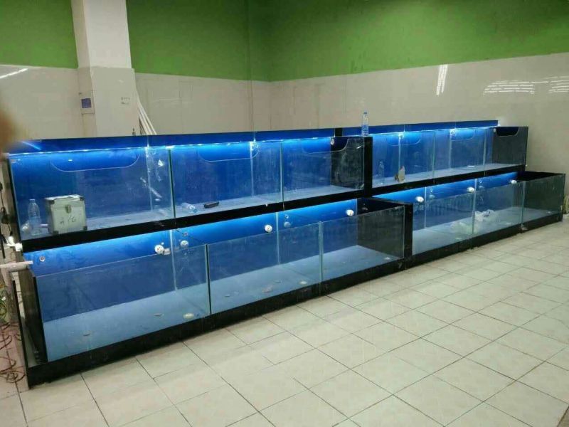 Dàn hồ hải sản 2 tầng đang lắp đặt ảnh 5