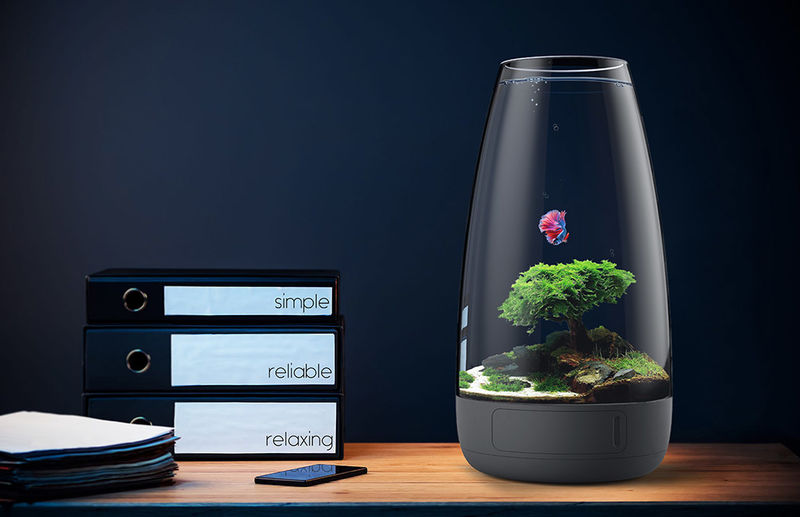 Các mẫu hồ cá thủy sinh theo phong cách tối giản nhưng cực đẹp dành cho dân công sở ảnh 2