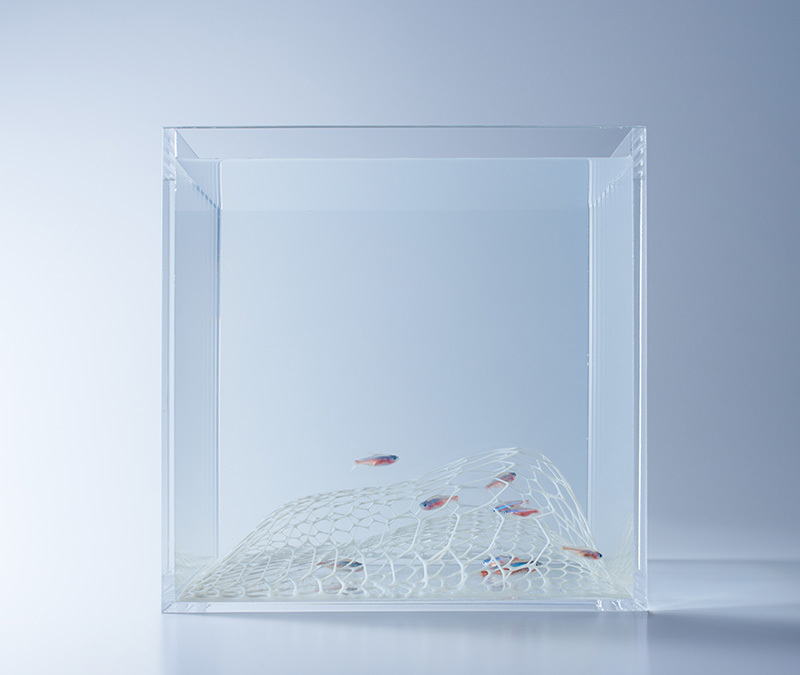 Những hồ cá cực đơn giản nhưng đầy sáng tạo từ nhà thiết kế 3d người nhật ảnh 2