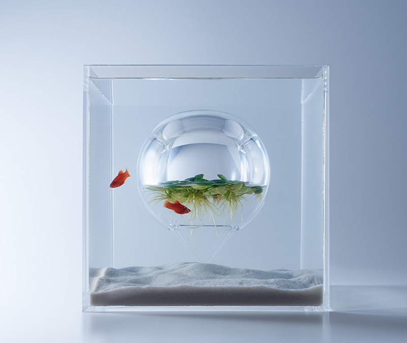 Những hồ cá cực đơn giản nhưng đầy sáng tạo từ nhà thiết kế 3d người nhật ảnh 5