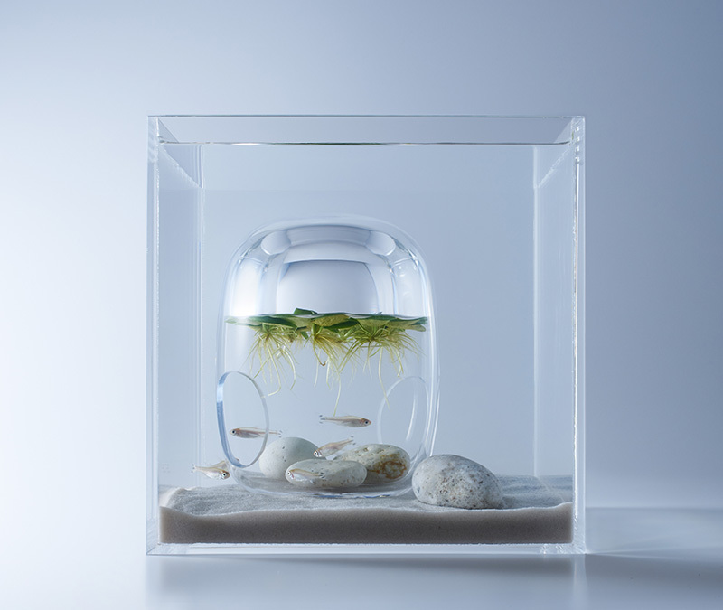 Những hồ cá cực đơn giản nhưng đầy sáng tạo từ nhà thiết kế 3d người nhật ảnh 7