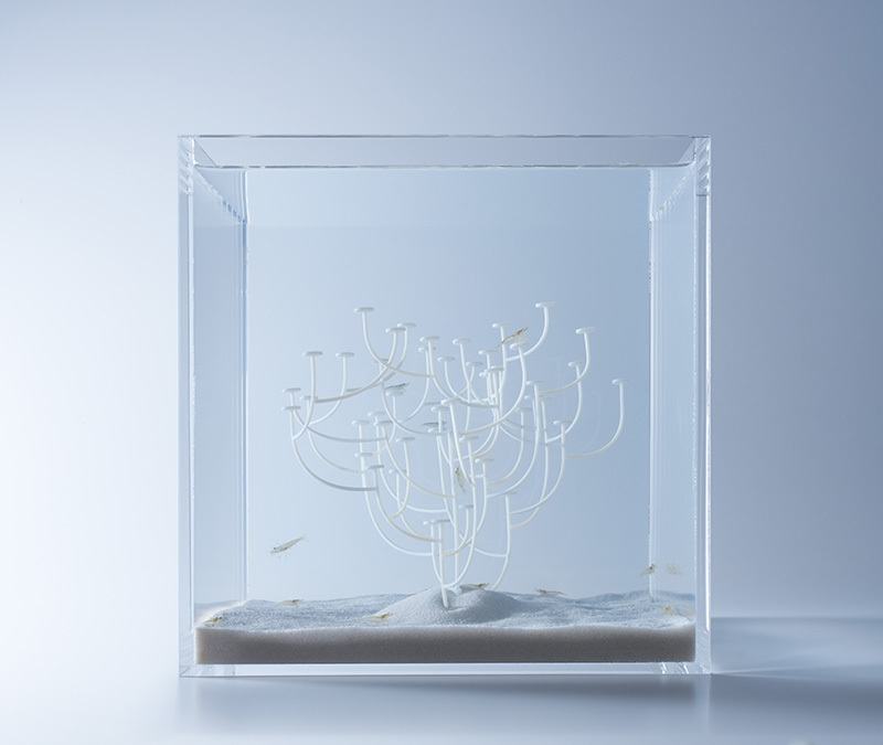 Những hồ cá cực đơn giản nhưng đầy sáng tạo từ nhà thiết kế 3d người nhật ảnh 8