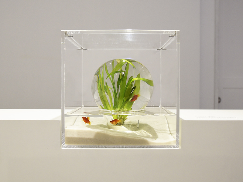 Những hồ cá cực đơn giản nhưng đầy sáng tạo từ nhà thiết kế 3d người nhật ảnh 8