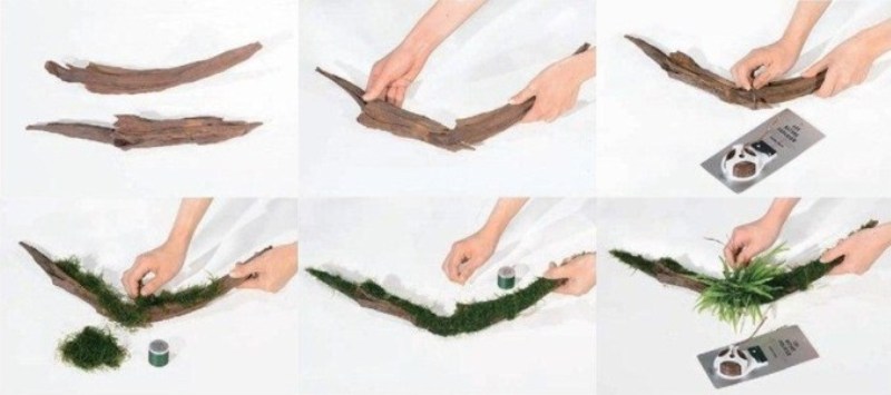 Với hai nhánh lũa ngắn và kém hấp dẫn