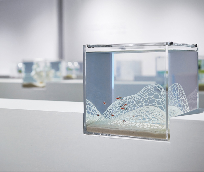 Hồ cá được thiết kế theo phong cách tối giản của nghệ sĩ Haruka Misawa