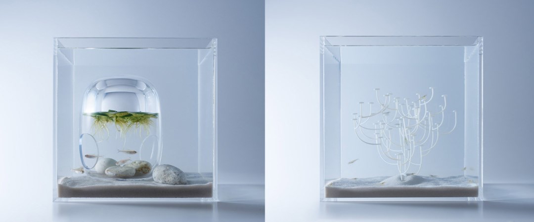Hồ thủy sinh được thiết kế theo phong cách tối giản của nghệ sĩ Haruka Misawa