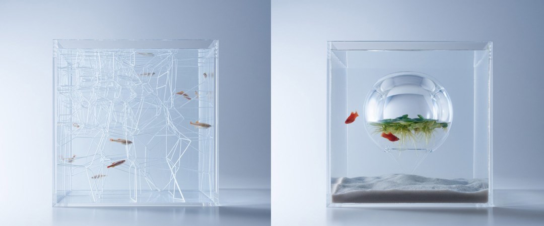 Hồ thủy sinh được thiết kế theo phong cách tối giản của nghệ sĩ Haruka Misawa