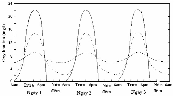 đo độ ph trong hồ cá thủy sinh đẹp