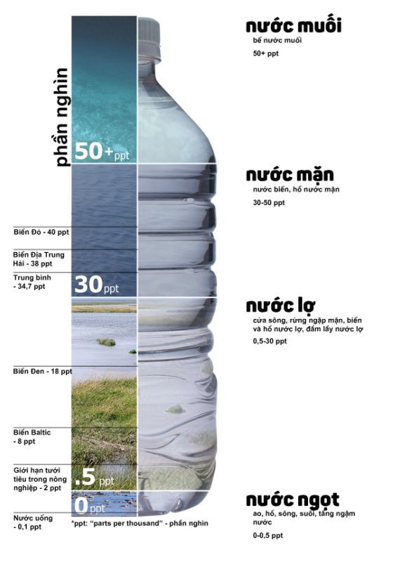 Độ mặn của nước trong hồ cá biển và các thông số hóa học nước khác nhau