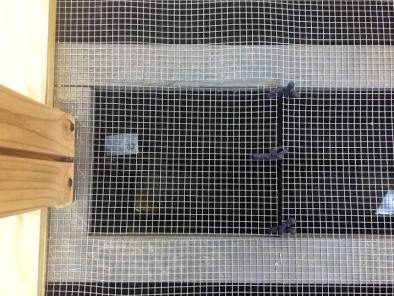 Thác Nước Trên Kính Tự Chế 23