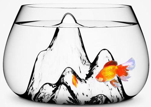 bể cá thủy sinh độc