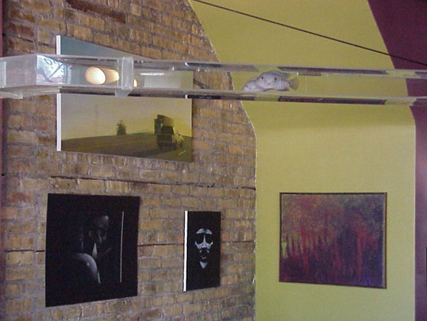 bể cá thủy sinh độc