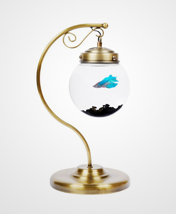 bể cá thủy sinh độc