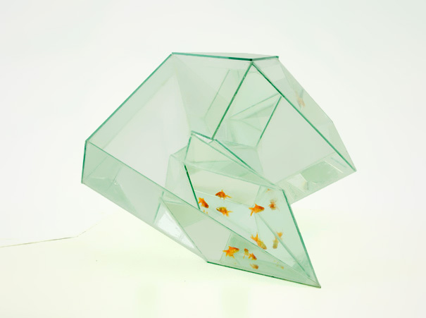 bể cá thủy sinh độc