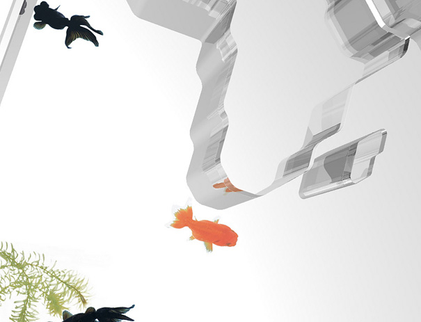 bể cá thủy sinh độc