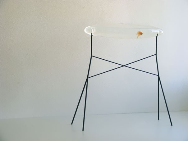 bể cá thủy sinh độc