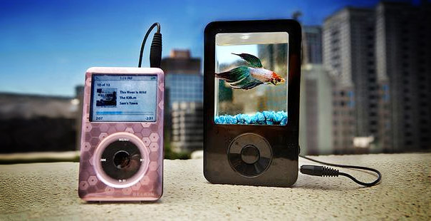 bể cá thủy sinh độc