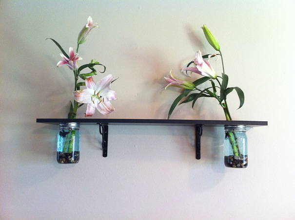 bể cá thủy sinh độc