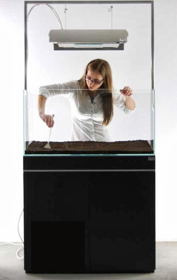 Setup ho ca thuy sinh khong kieng 1