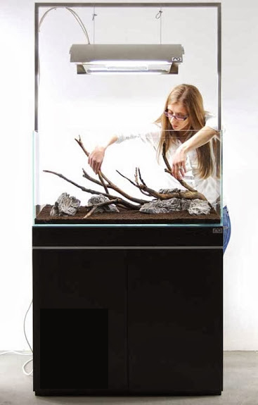 Setup ho ca thuy sinh khong kieng 12