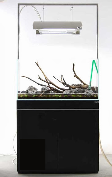 Setup ho ca thuy sinh khong kieng 15