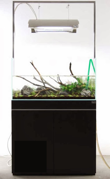 Setup ho ca thuy sinh khong kieng 17