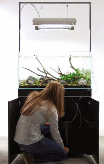 Setup ho ca thuy sinh khong kieng 18