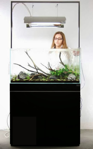 Setup ho ca thuy sinh khong kieng 19