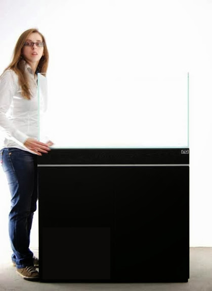 Setup ho ca thuy sinh khong kieng 3