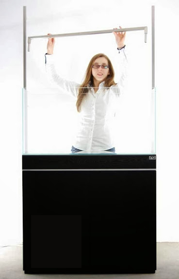 Setup ho ca thuy sinh khong kieng 4