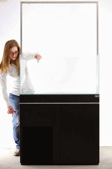 Setup ho ca thuy sinh khong kieng 5