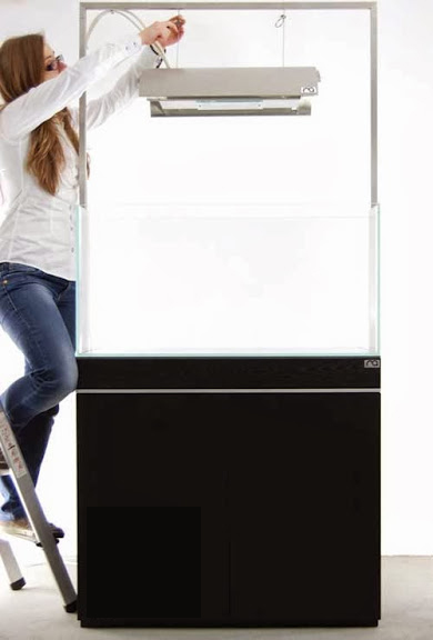 Setup ho ca thuy sinh khong kieng 6