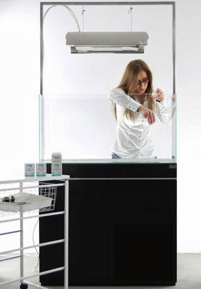 Setup ho ca thuy sinh khong kieng 8