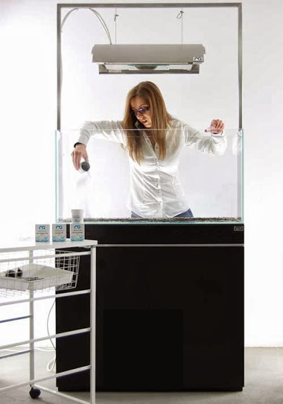 Setup ho ca thuy sinh khong kieng 9